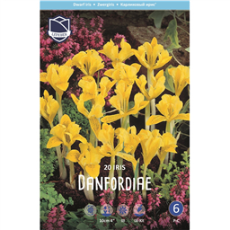 Ирис Денфорда