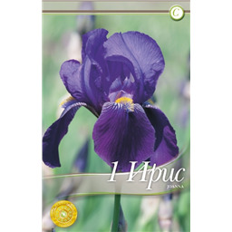 Ирис Джоанна