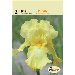 Ирис германский Октоубе Сан