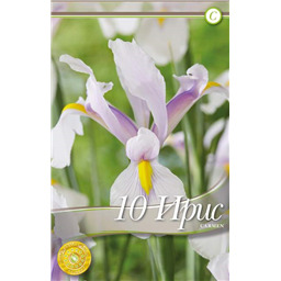 Ирис Кармен