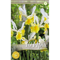 Ирис Монтесито