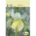 Ирис сибирский Баттер энд Шуга