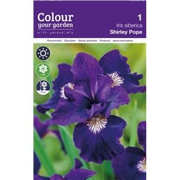 Ирис сибирский Шарли Поуп