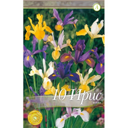 Ирис Смесь Голландских Ирисов