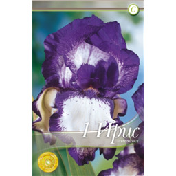 Ирис Степпинг Аут