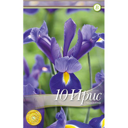 Ирис Валентайн