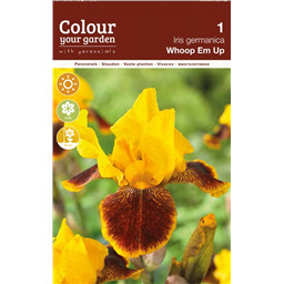 Ирис Вопс Ем Ап