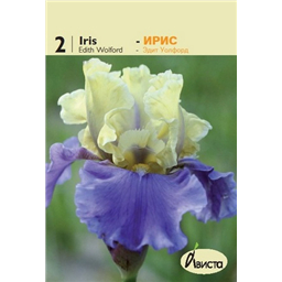 Ирис германский Эдит Уолфорд