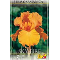 Ирис германский Скай Файер