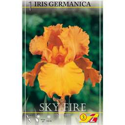 Ирис германский Скай Файер