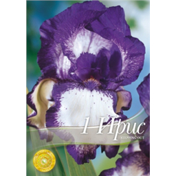 Ирис германский Степинг Аут