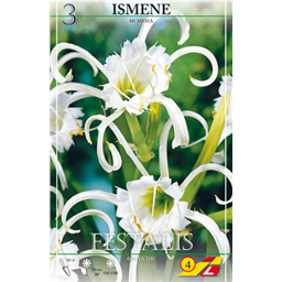 Исмене Фесталис