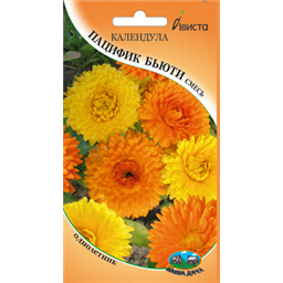 Календула Пацифик бьюти
