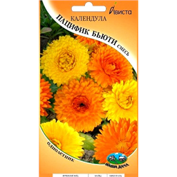 Календула Пацифик бьюти