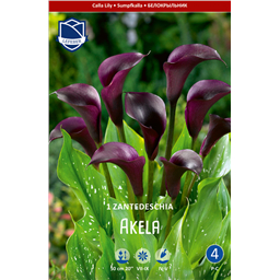 Калла Акела 