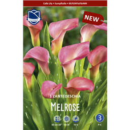 Калла Мелроуз