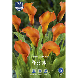 Калла Пэшшн 