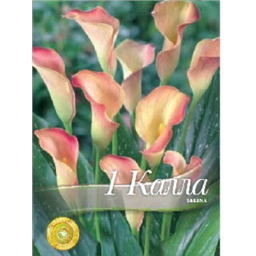 Калла Селина