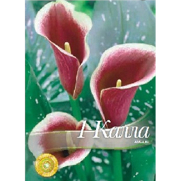 Калла Аскари