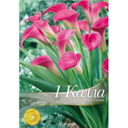 Калла Гарнет Глоу