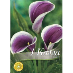 Калла Пикассо