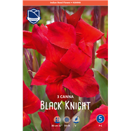 Канна Блек Найт 