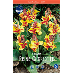 Канна Релайн Шарлотт 