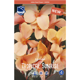 Канна Тропикал Санрайз