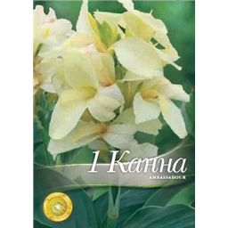 Канна Амбасадор