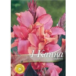 Канна Чемпион