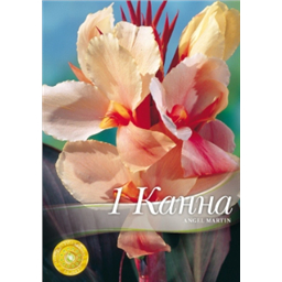 Канна Энджел Мартин