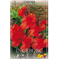 Канна Ингеборг