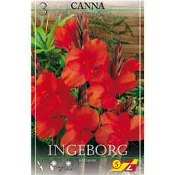 Канна Ингеборг