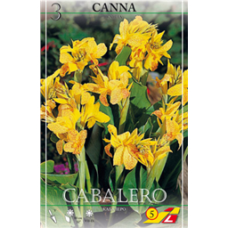 Канна Кабалеро