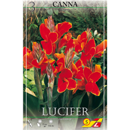 Канна Люцифер