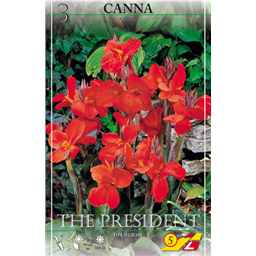 Канна Президент