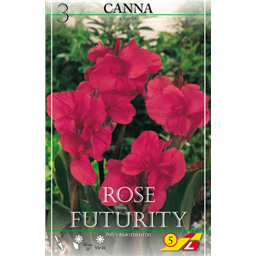 Канна Рози Футурити