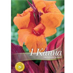 Канна Тропикана Дурбан