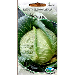 Капуста белокочанная Экстра F1
