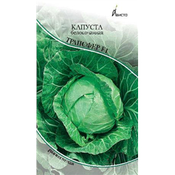 Капуста белокочанная Транфер F1