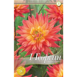 Карма Корона