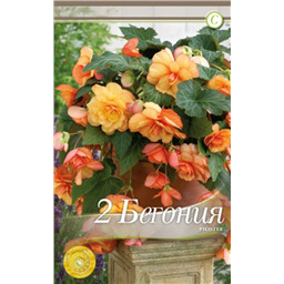 Каскад Пикоти