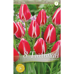 Кенди Эппл Делайт