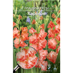 Харьков