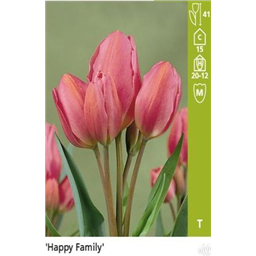 Хэппи Фэмили