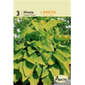Хоста Август Мун