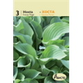 Хоста Кросса Регал