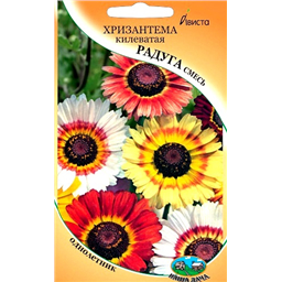 Хризантема килеватая Радуга смесь