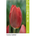 Колор Кардинал
