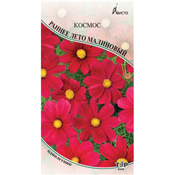 Космос Раннее лето малиновый 